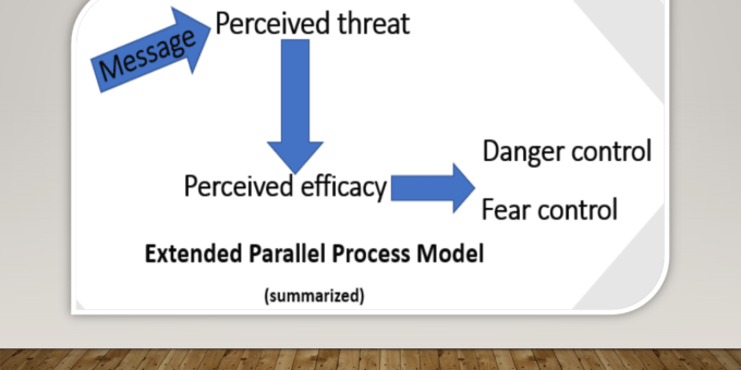 Extended Parallel Process Model